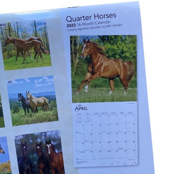 Calendar “Quarter Horses” Sixteen Months Brand New Gorgeous Photography - Picture 3 of 10